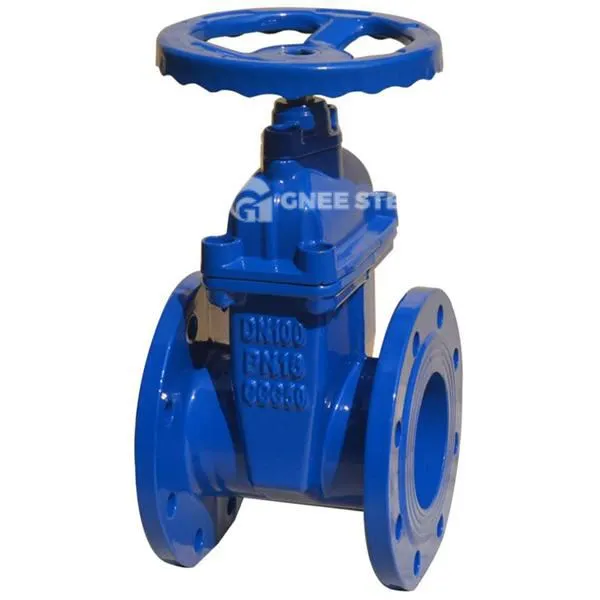 BS5163 Gate Valve