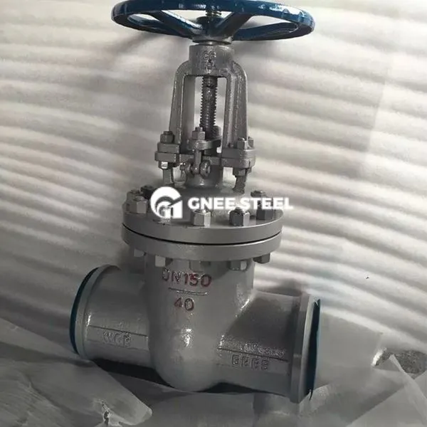 Carbon Steel Class 800 Gate Valve