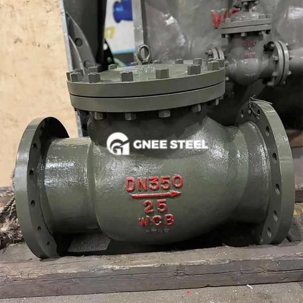 Ductile Iron Swing Check Valve