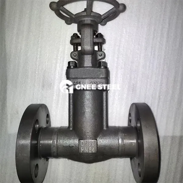 Forged Steel Ansi 300 Gate Valve