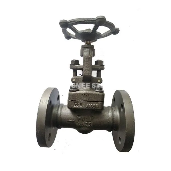 Forged Steel Globe Valve