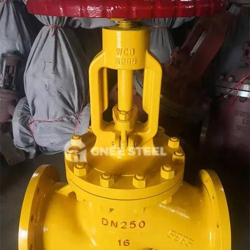 Gas Globe Valve