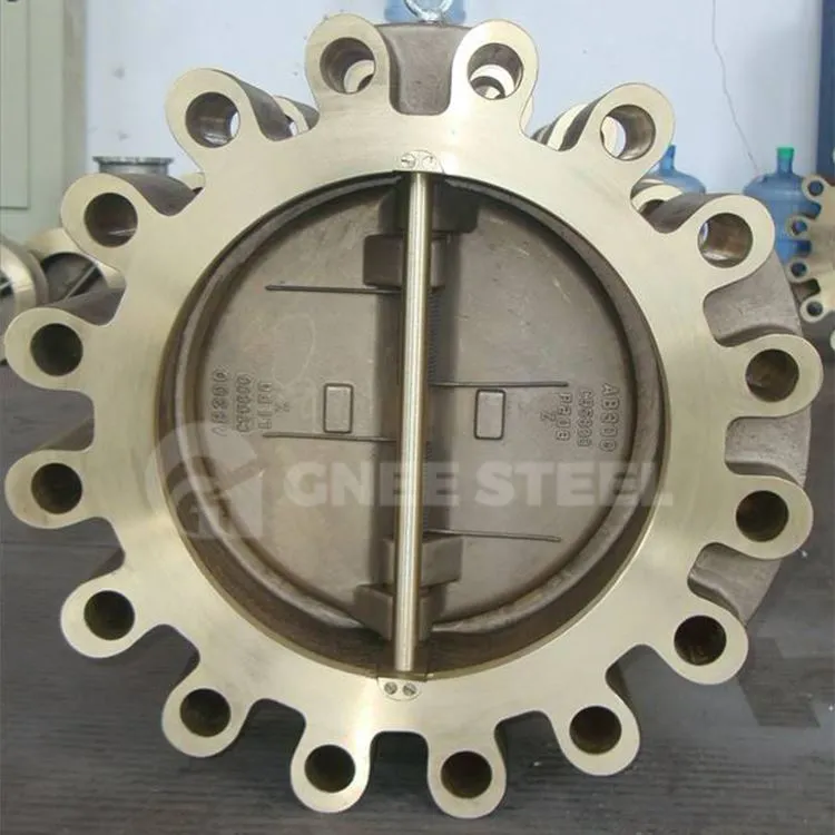 Lugged Wafer kontraventil