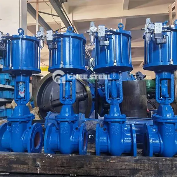 Pneumatisk kileportventiler