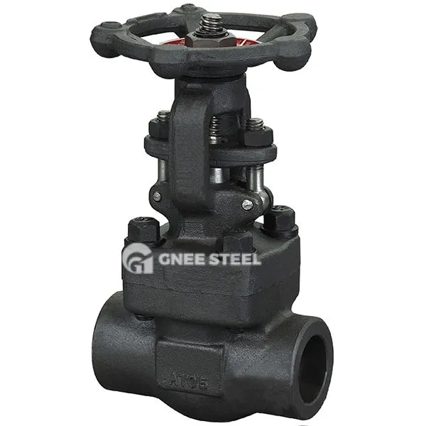 Socket Weld Globe Valve